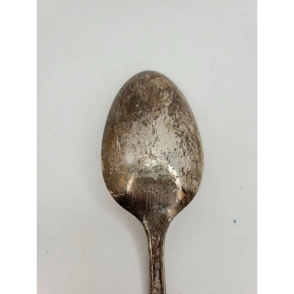 International Silver  Embassy‎  BOUQUET  Silverplate  Solid Serving Spoon   1939